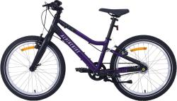 Велосипед Alpinebike Pegas 3-20 (2025) - фото