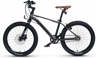 Велосипед Maxiscoo 7BIKE 20 M700 (2024) - фото