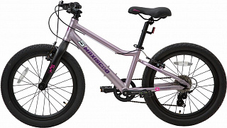 Велосипед Maxiscoo 5BIKE 20 L (2024) - фото