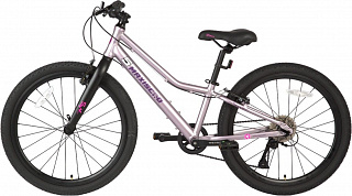 Велосипед Maxiscoo 5BIKE 24 L (2024) - фото