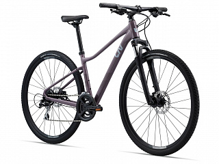 Велосипед Giant Rove 3 DD (2023) - фото