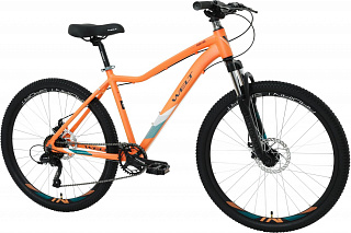 Велосипед Welt Floxy 1.0 D 26 Promo (2023) - фото