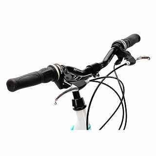 Велосипед CAPRIOLO METROPOLIS TOUR LADY 26'' (2023) - фото