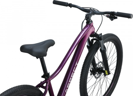 Велосипед Aspect Alma 26 (2025) (Велосипед Aspect"25 ALMA 26 XS, 26", 152-163см, Темно-фиолетовый, 4640258344776) Велосипед Aspect Alma 26 (2025) (Велосипед Aspect"25 ALMA 26 XS, 26", 152-163см, Темно-фиолетовый, 4640258344776)