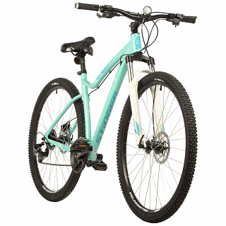 Велосипед STINGER VEGA STD 29" (2021) - фото