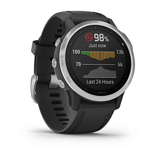 Часы GARMIN Fenix 6S (Silver/Black Band) - фото